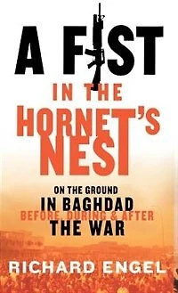 A Fist the Hornet's Nest: On Ground Baghdad Before, During & After War