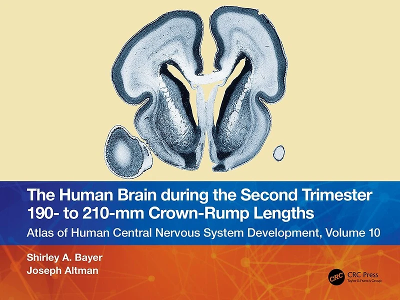 the Human Brain during Second Trimester - to -mm Crown-Rump Lengths: Atlas of Central Nervous System Development