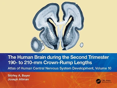 the Human Brain during Second Trimester - to -mm Crown-Rump Lengths: Atlas of Central Nervous System Development