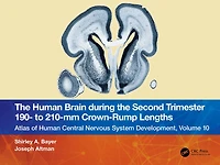 the Human Brain during Second Trimester - to -mm Crown-Rump Lengths: Atlas of Central Nervous System Development