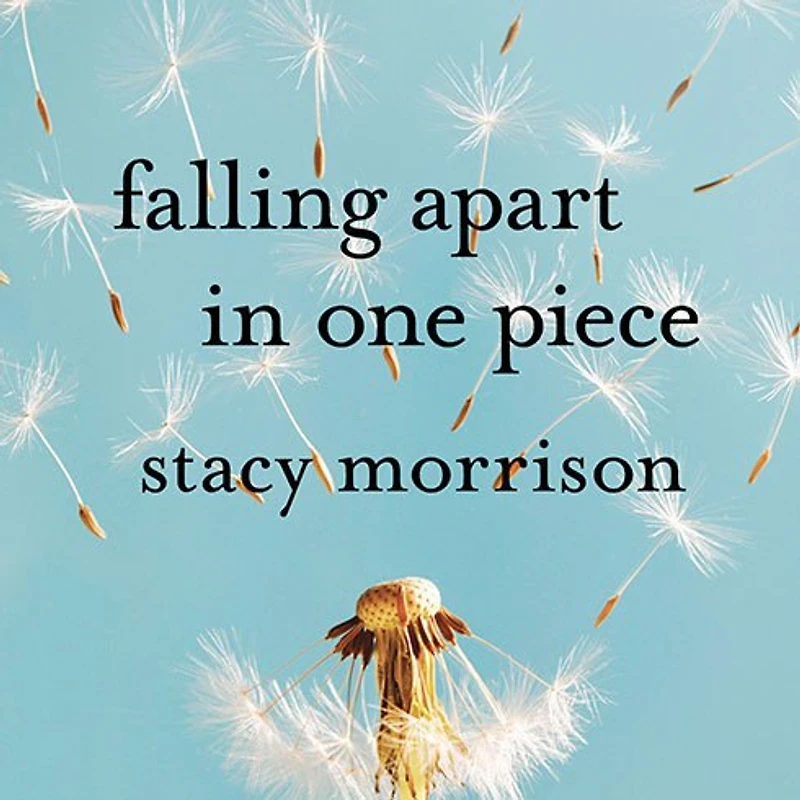 Falling Apart One Piece: Optimist's Journey Through the Hell of Divorce