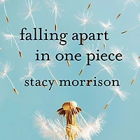 Falling Apart One Piece: Optimist's Journey Through the Hell of Divorce