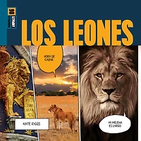 Los leones
