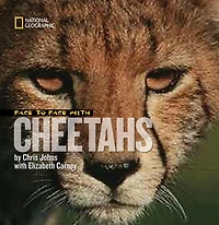 Face to With Cheetahs