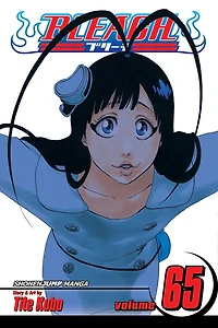Bleach, Vol. 65: Marching Out the Zombies