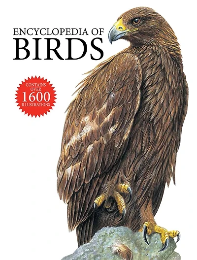 Encyclopedia Of Birds