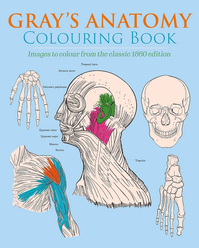 GRAYS ANATOMY COLOURING BK: Images to Colour from the Classic 1860 Edition