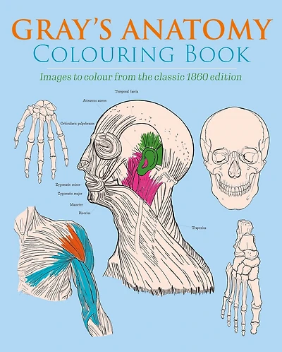 GRAYS ANATOMY COLOURING BK: Images to Colour from the Classic 1860 Edition