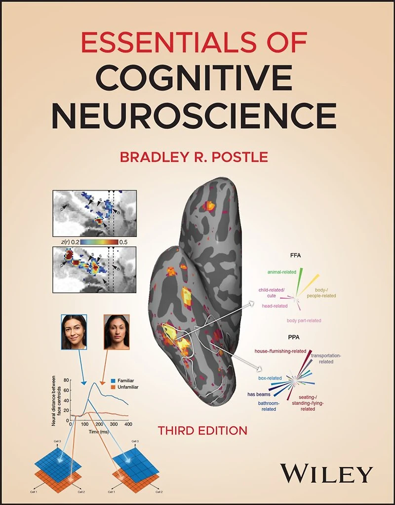 Essentials of Cognitive Neuroscience