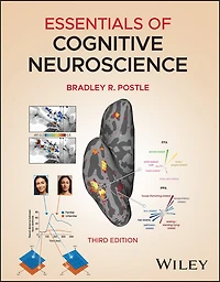 Essentials of Cognitive Neuroscience