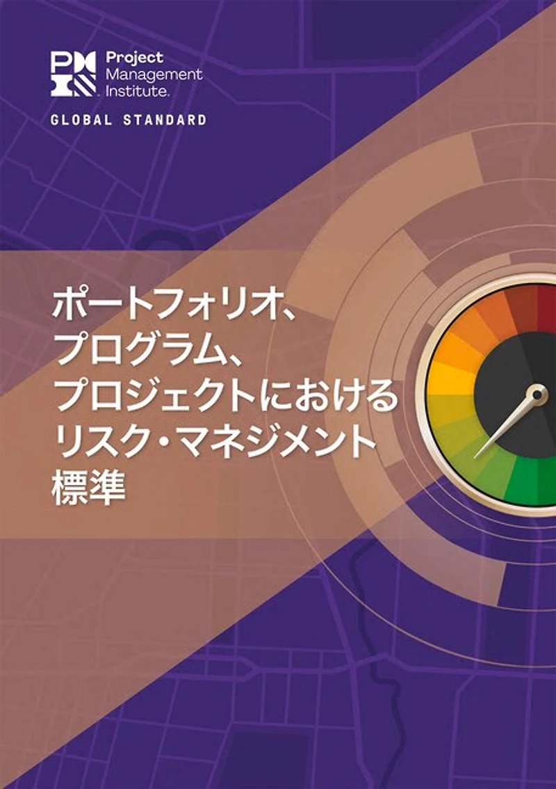 The Standard for Risk Management in Portfolios, Programs