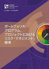 The Standard for Risk Management in Portfolios, Programs