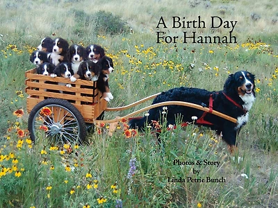 A Birth Day for Hannah