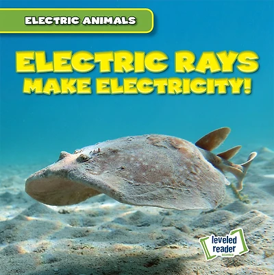 Electric Rays Make Electricity!