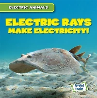 Electric Rays Make Electricity!