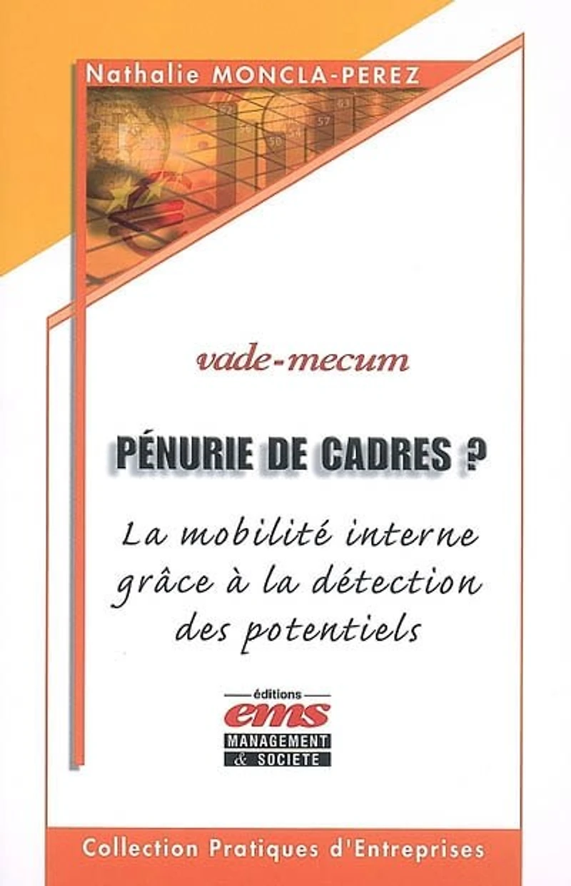 Pénurie de cadres ? : la mobilité interne grâce à détection des potentiels vade-mecum: