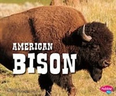 American Bison