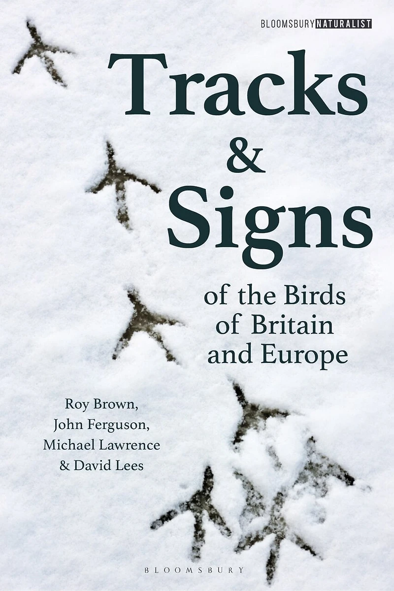 Tracks And Signs Of The Birds Britain Europe
