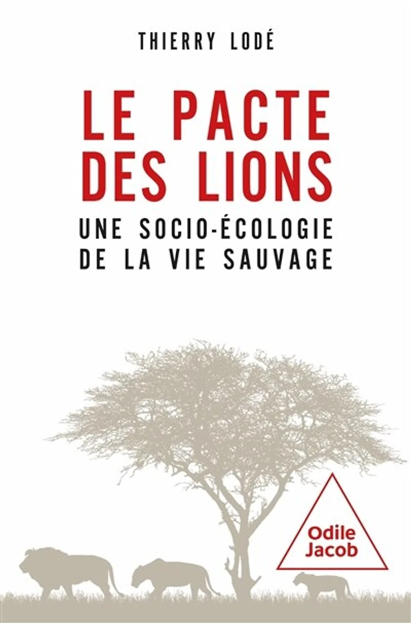 Le pacte des lions: une socio-écologie de la vie sauvage