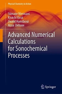 Advanced Numerical Calculations for Sonochemical Processes