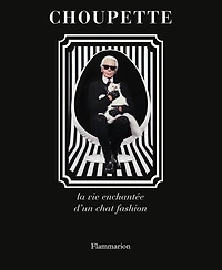 Choupette: la vie enchantée d'un chat fashion