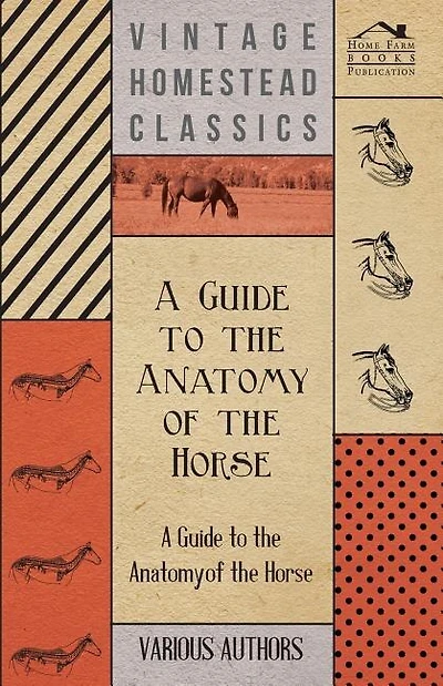 A Guide to the Anatomy of the Horse - A Collection of Historical Articles on the Skeleton, Hoof, Teeth, Locomotion and Other Aspects of Equine Anato