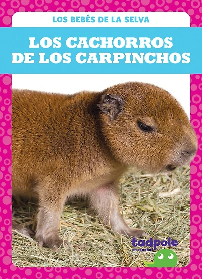 Los Los Cachorros de Los Carpinchos (Capybara Pups)