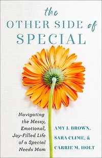 the Other Side of Special: Navigating Messy, Emotional, Joy-Filled Life a Special Needs Mom