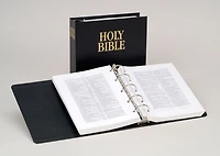 2011 NIV Loose Leaf Bible, pages only without Binder (Loose-leaf)
