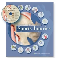 Anatomical Visual Guide to Sports Injuries