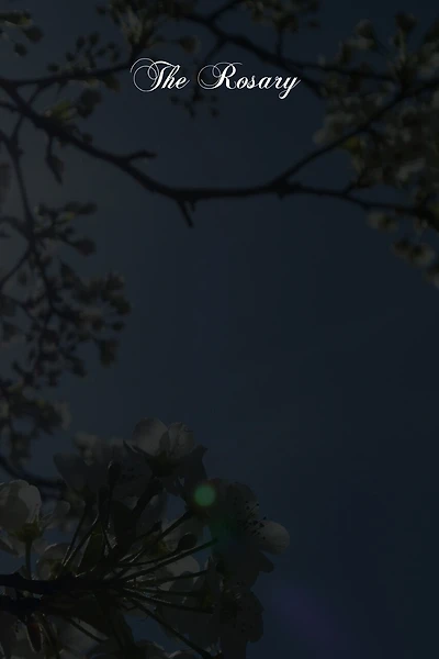 The Rosary: Its History And Meaning
