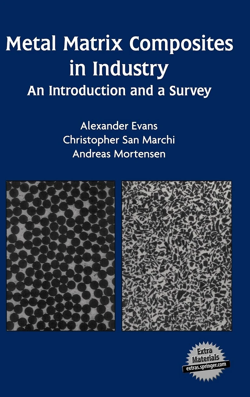 Metal Matrix Composites Industry: An Introduction and a Survey