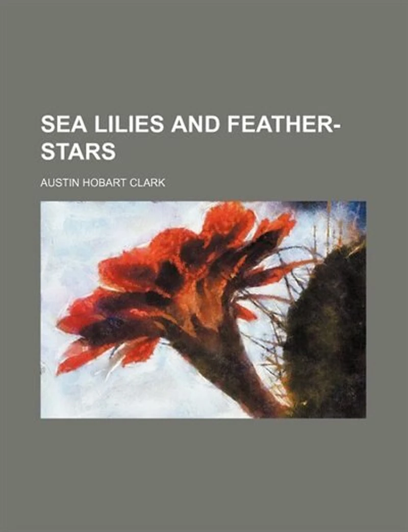 Sea Lilies And Feather-stars