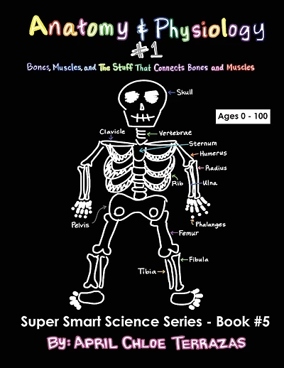 Anatomy & Physiology Part 1: Bones, Muscles