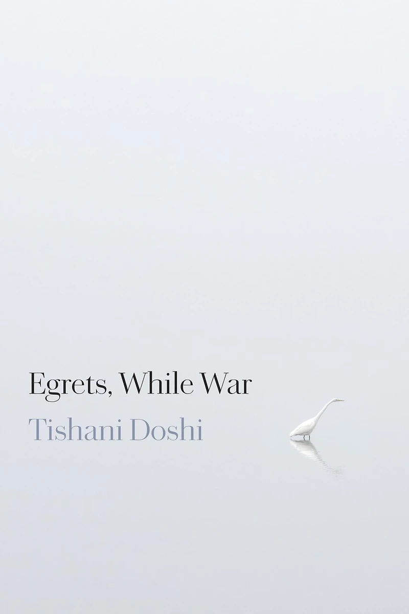 Egrets, While War
