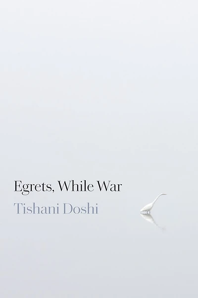Egrets, While War