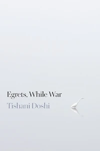 Egrets, While War
