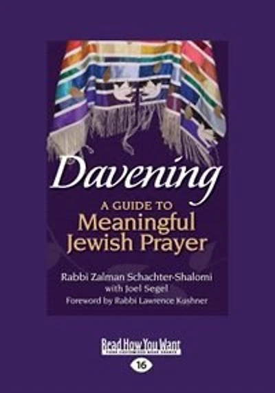 Davening: A Guide To Meaningful Jewish Prayer (large Print 16pt)