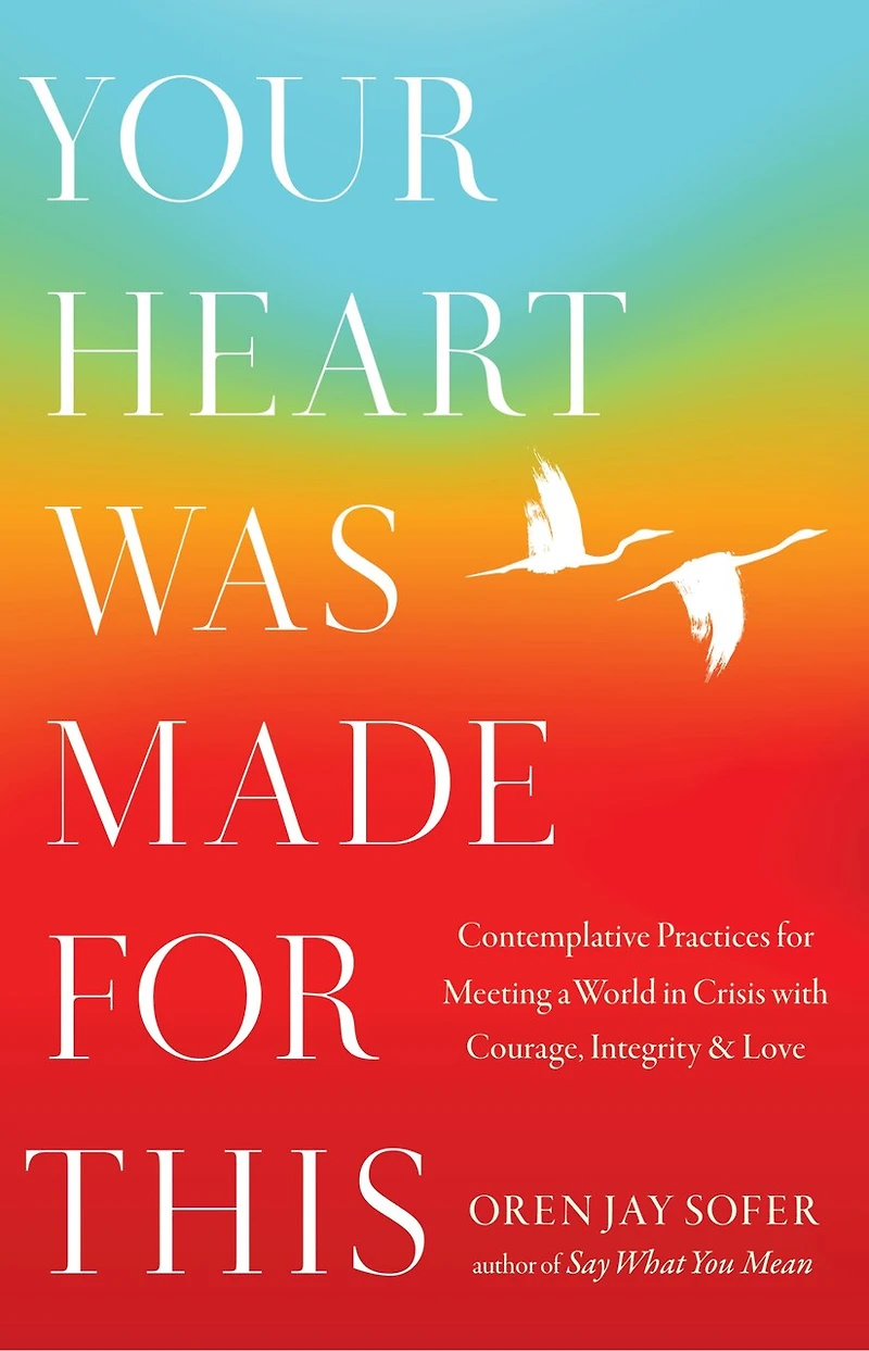 Your Heart Was Made for This: Contemplative Practices Meeting a World Crisis with Courage, Integrity, and Love