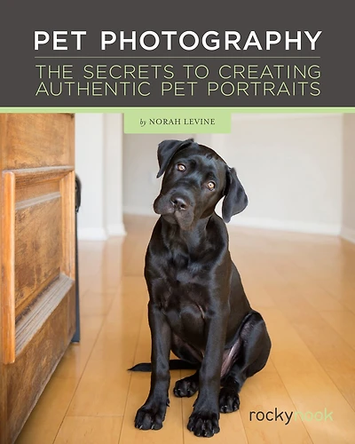 Pet Photography: The Secrets to Creating Authentic Portraits