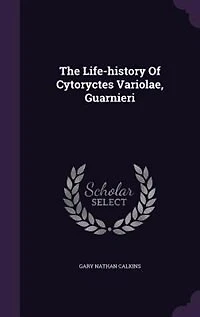 The Life-history Of Cytoryctes Variolae, Guarnieri