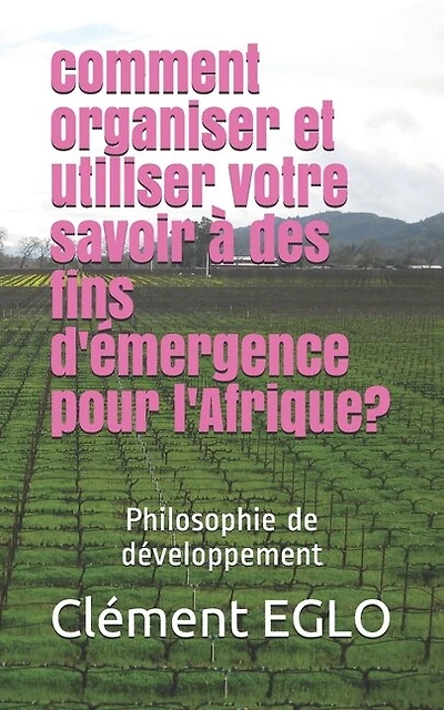 comment organiser et utiliser votre savoir à des fins d'émergence pour l'Afrique?: Philosophie de développement