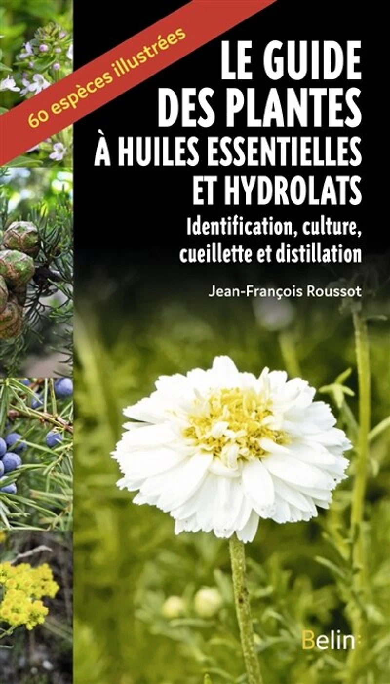 Guide des plantes à huiles essentielles et hydrolats: identification, culture, cueillette et distillation