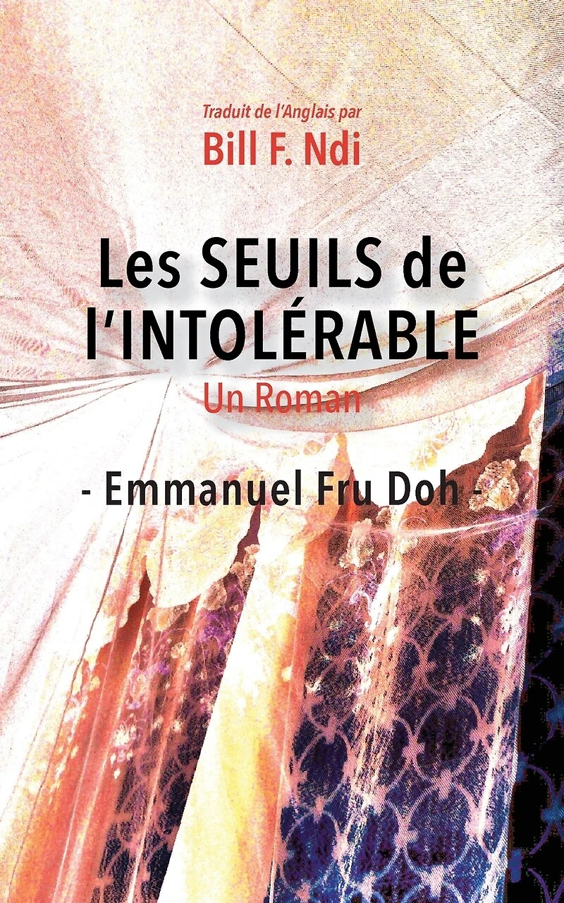 Les Seuils de l'intolérable: Un Roman