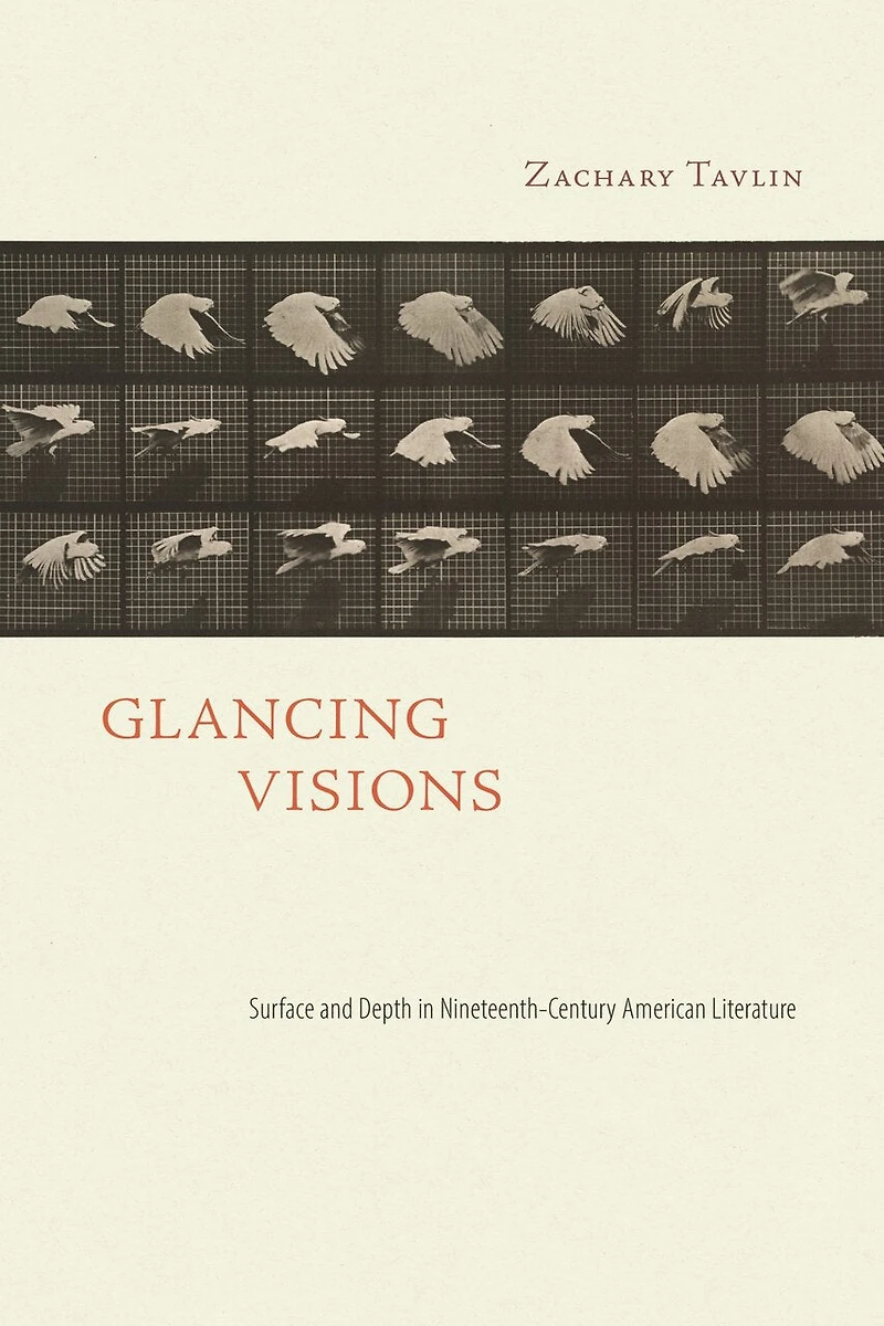 Glancing Visions: Surface and Depth Nineteenth-Century American Literature