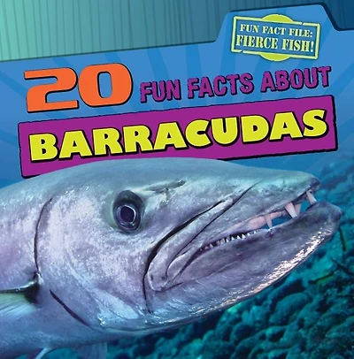 20 Fun Facts about Barracudas