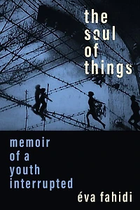 The Soul of Things: Memoir a Youth Interrupted