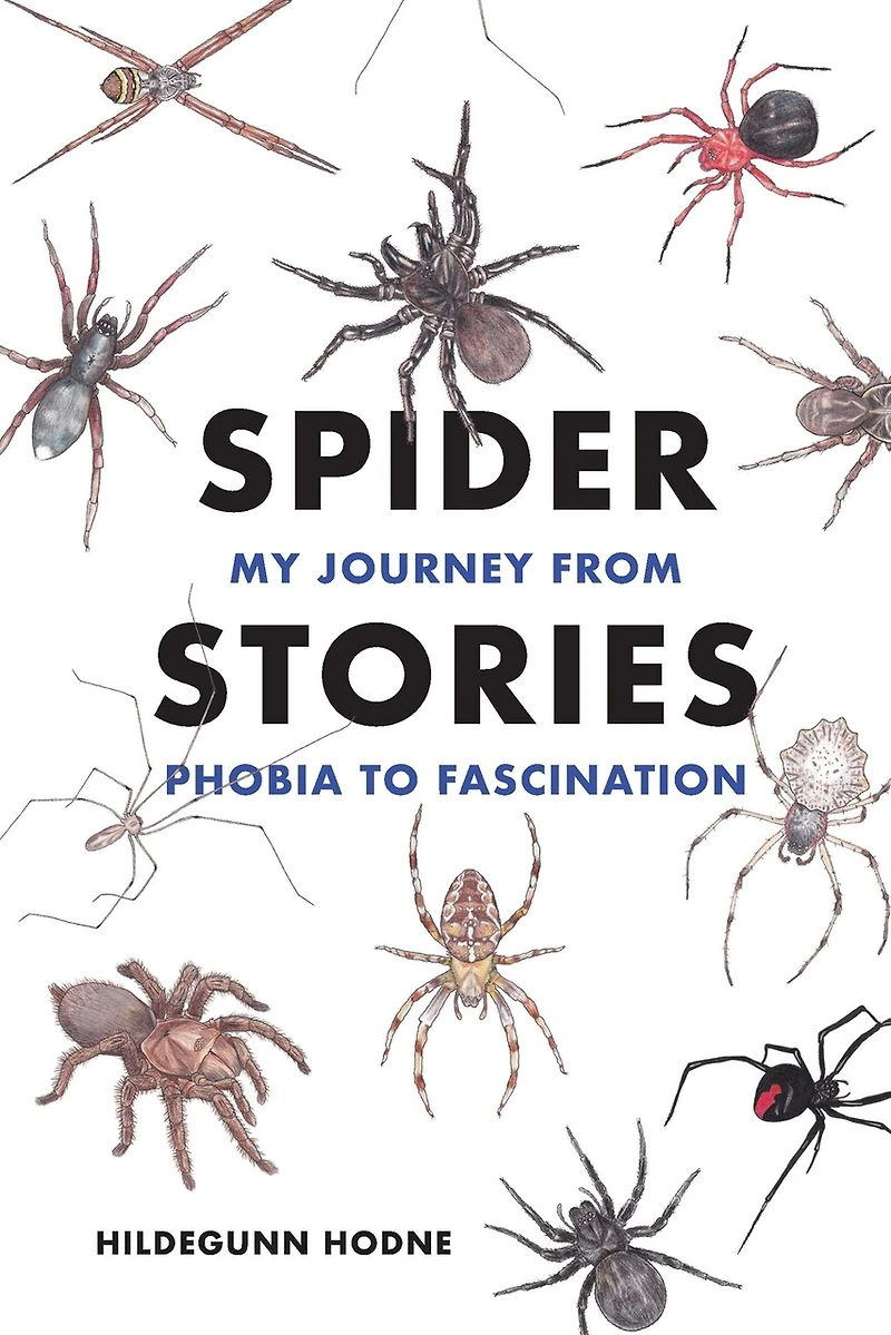 Spider Stories: My Journey from Phobia to Fascination