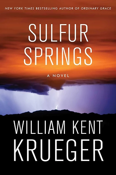 Sulfur Springs: A Novel
