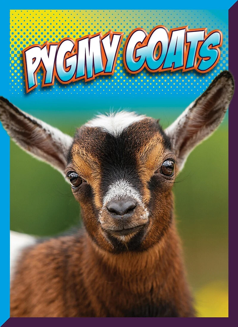 Pygmy Goats